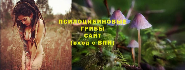 ешки Алзамай