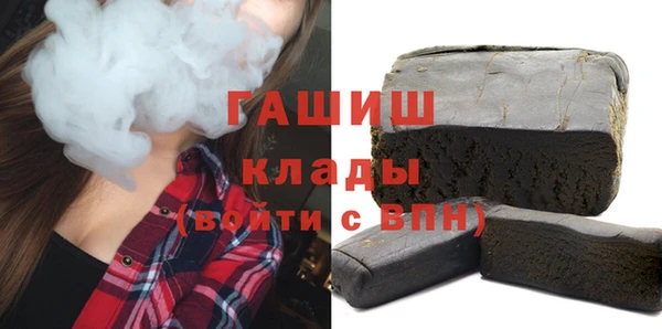 крисы Корсаков