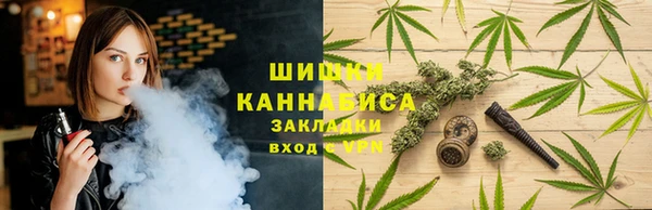 ешки Алзамай