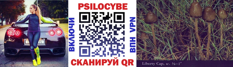 дарнет шоп Луза Галлюциногенные грибы мухоморы